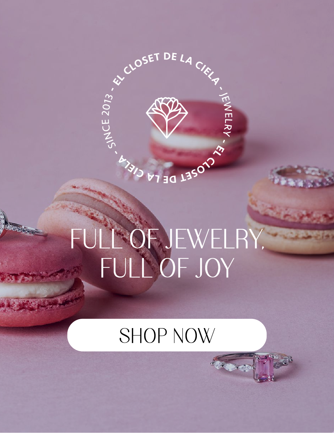 El Closet de la Ciela USA