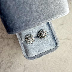 Aqua Nova Radiance Stud Earrings